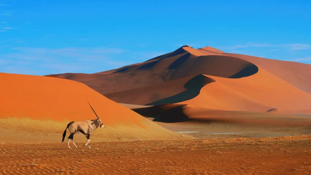 Namibia tar bort visumundantaget för franska resor